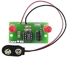 CK068 : Jumbo 2-LED Flasher