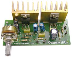 CK193 : 20W Bridged Power Amplifier
